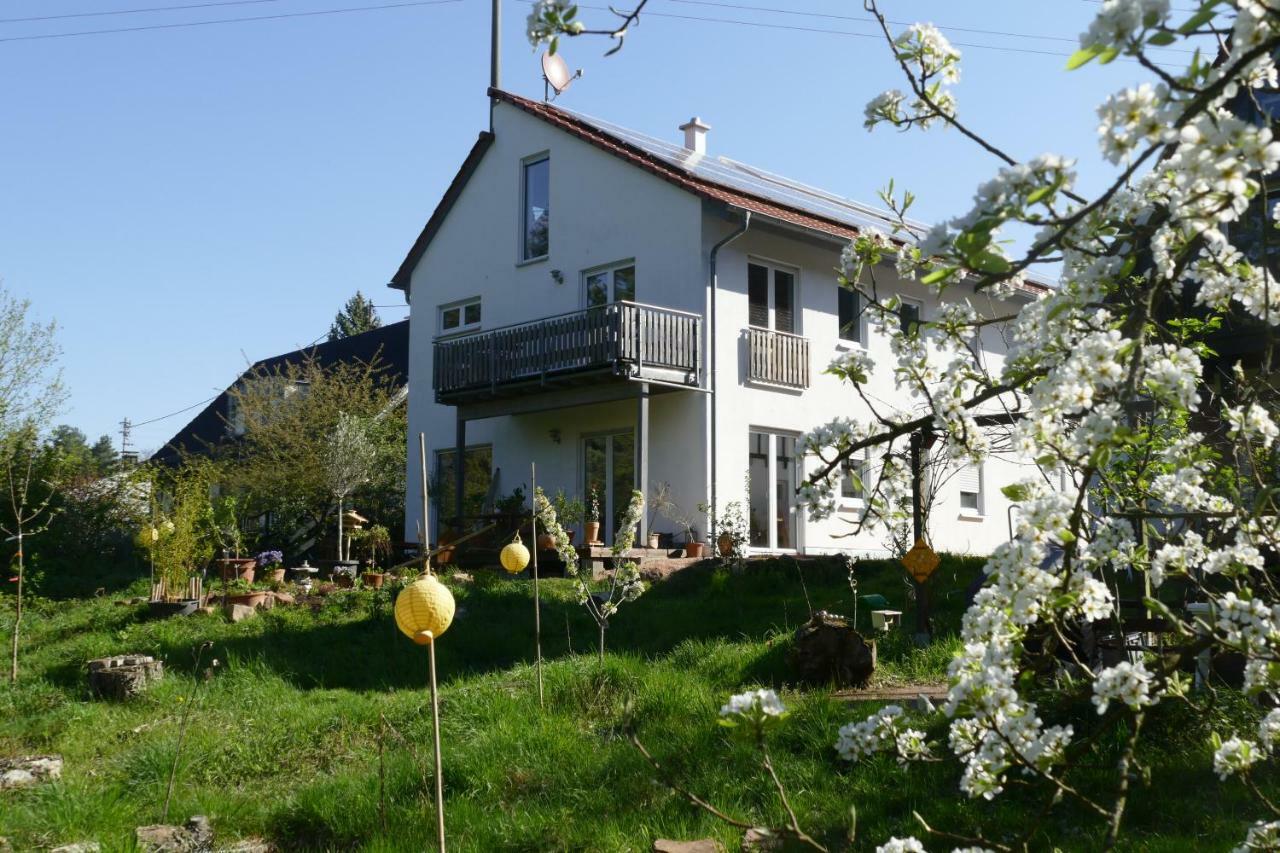 דירות Trippstadt Otterhaus מראה חיצוני תמונה